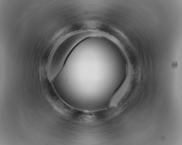 X0000091070552200708061304