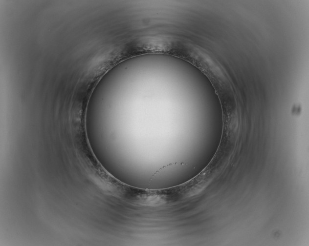 X0000091070553200708061304