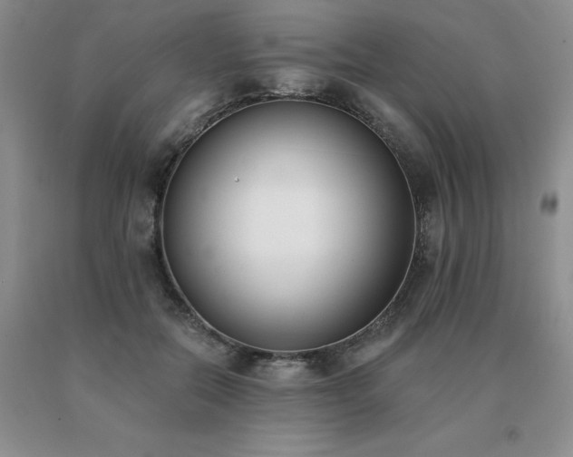 X0000091070554200708061304