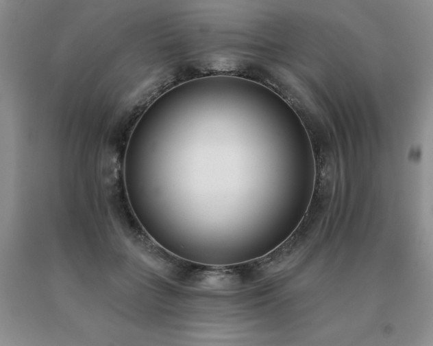 X0000091070555200708061304