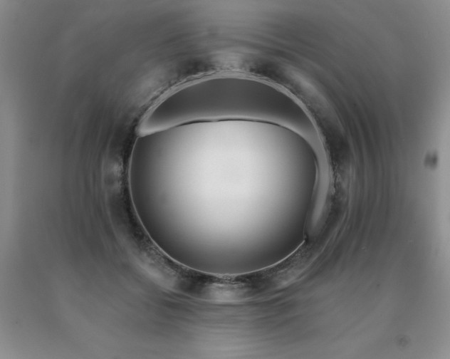 X0000091070556200708061304