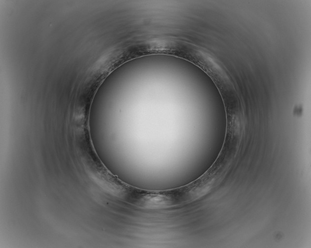 X0000091070557200708061304