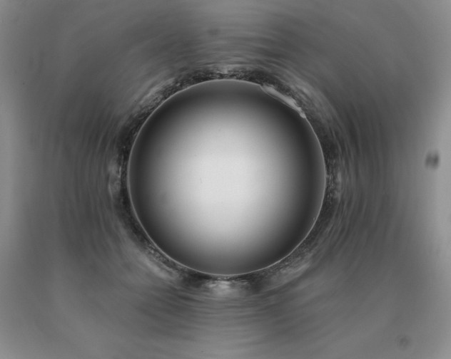 X0000091070558200708061304