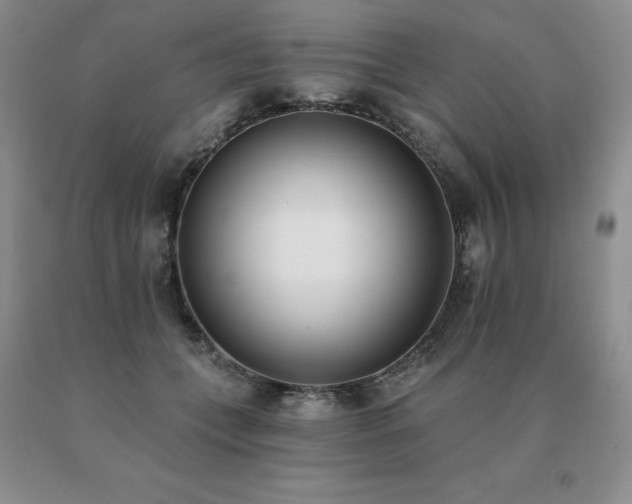 X0000091070559200708061304