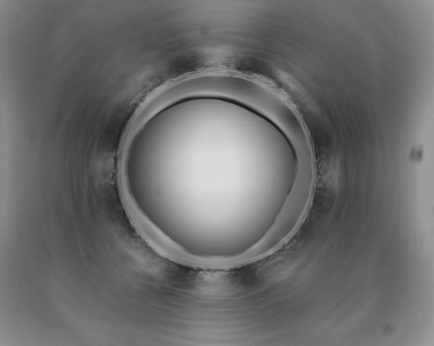 X0000091070560200708061304
