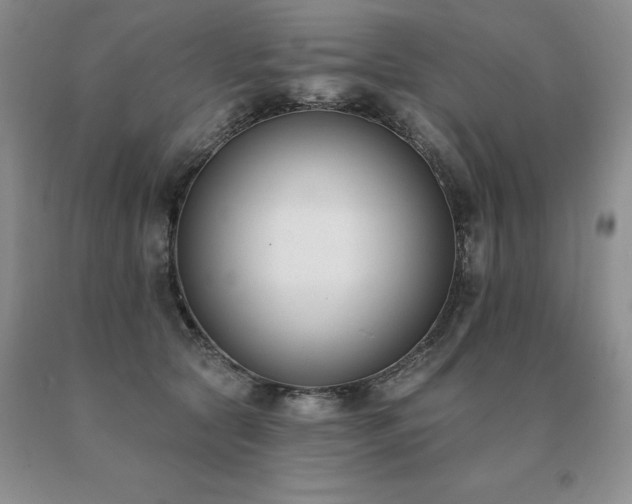 X0000091070561200708061304