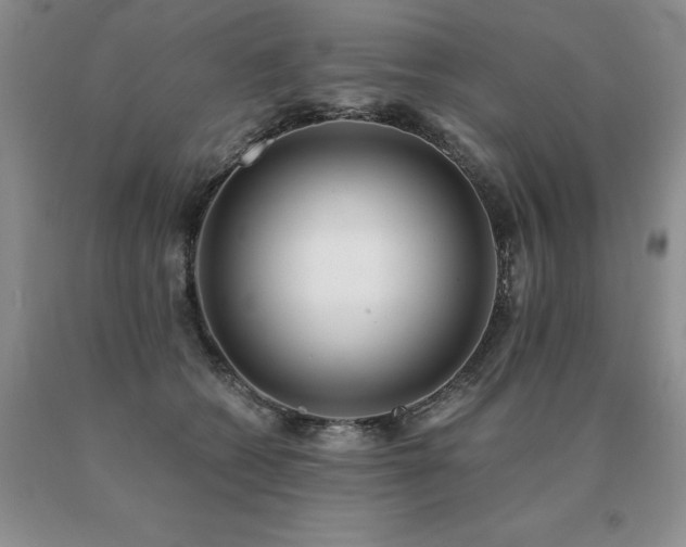 X0000091070562200708061304
