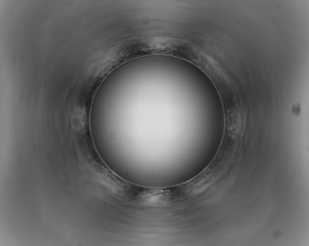 X0000091070563200708061304