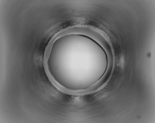 X0000091070564200708061304