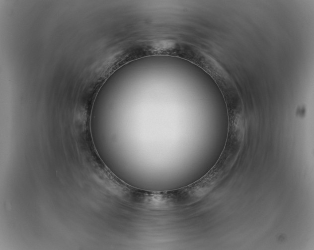 X0000091070565200708061304