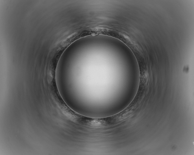 X0000091070566200708061304