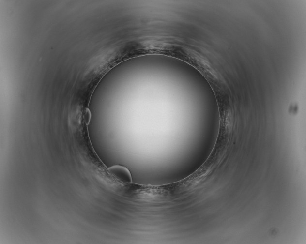 X0000091070567200708061304