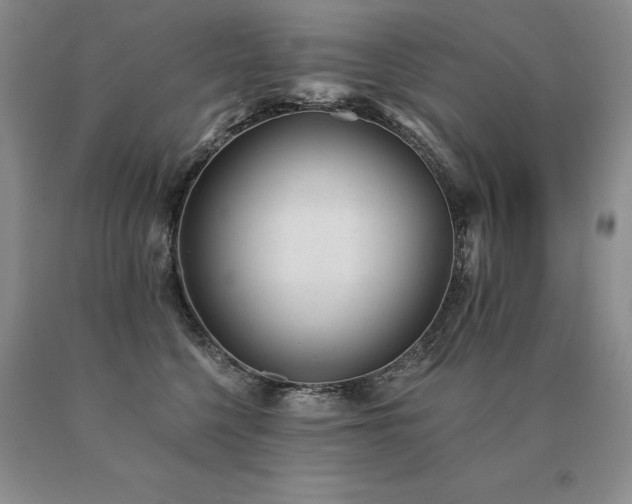 X0000091070568200708061304