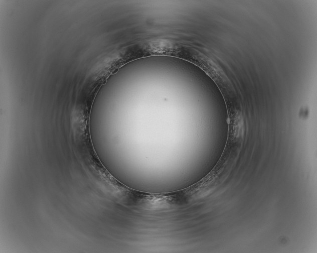X0000091070569200708061304
