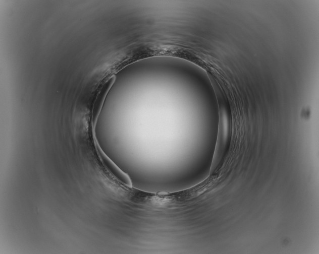 X0000091070570200708061304