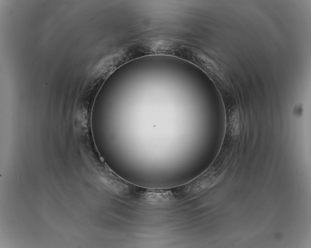 X0000091070571200708061304