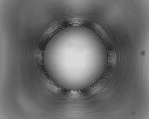 X0000091070573200708061304