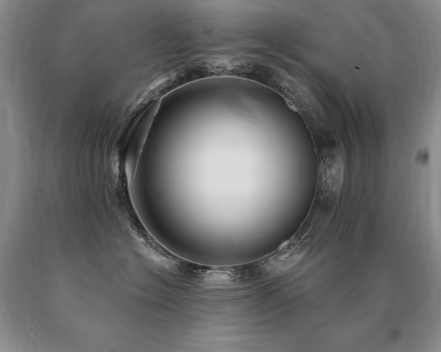 X0000091070574200708061304