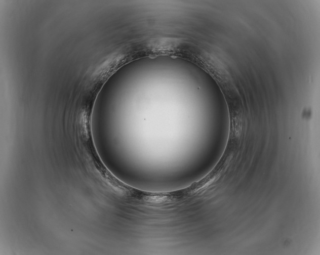 X0000091070575200708061304