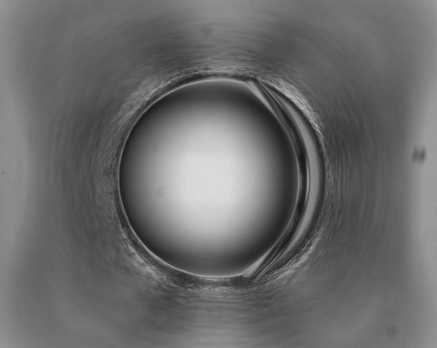 X0000091070577200708061303