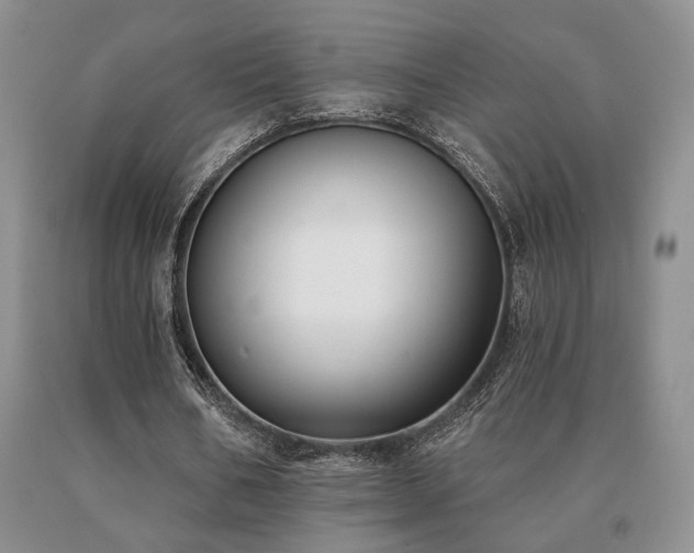 X0000091070578200708061303
