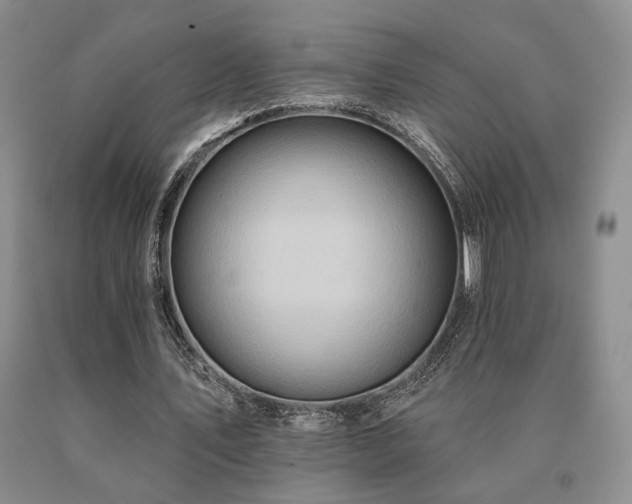 X0000091070579200708061303