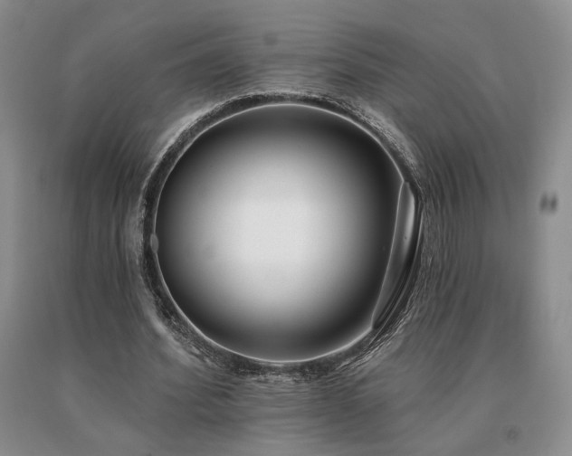 X0000091070580200708061303