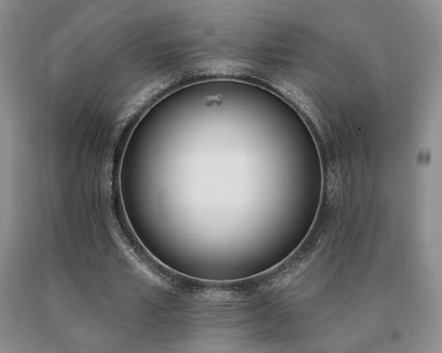 X0000091070581200708061303