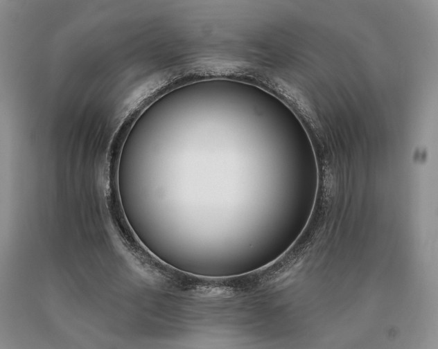 X0000091070582200708061303
