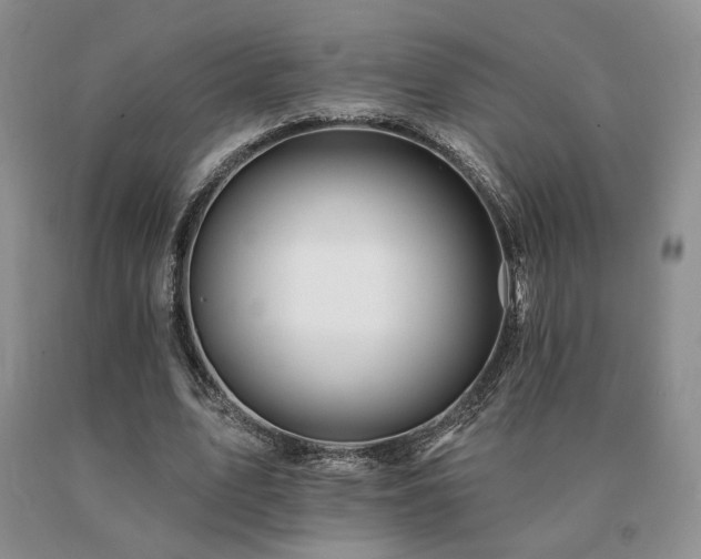 X0000091070583200708061303
