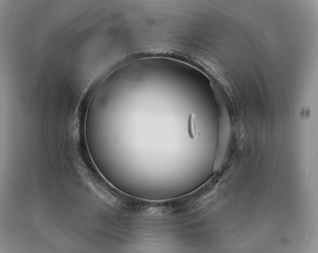 X0000091070584200708061303