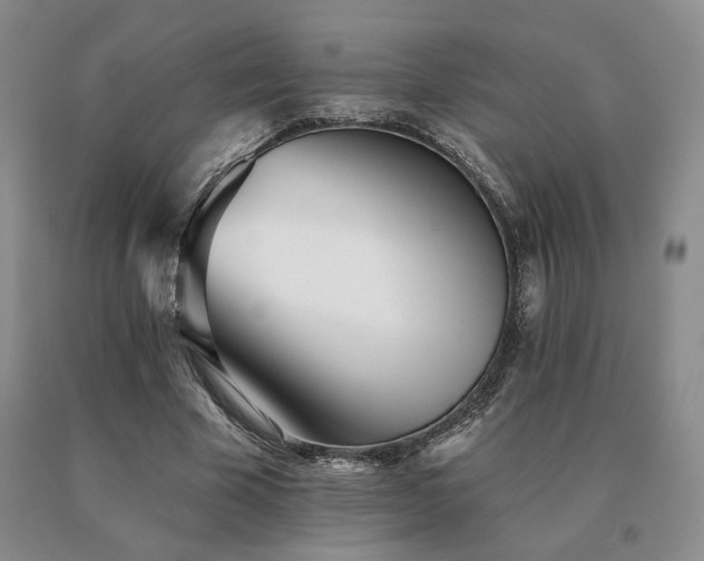 X0000091070585200708061303
