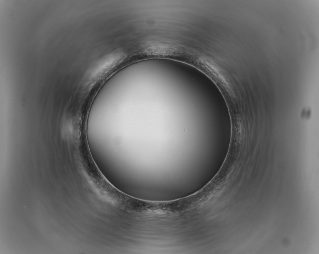 X0000091070586200708061303