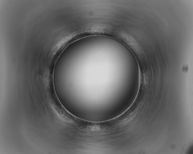 X0000091070588200708061303
