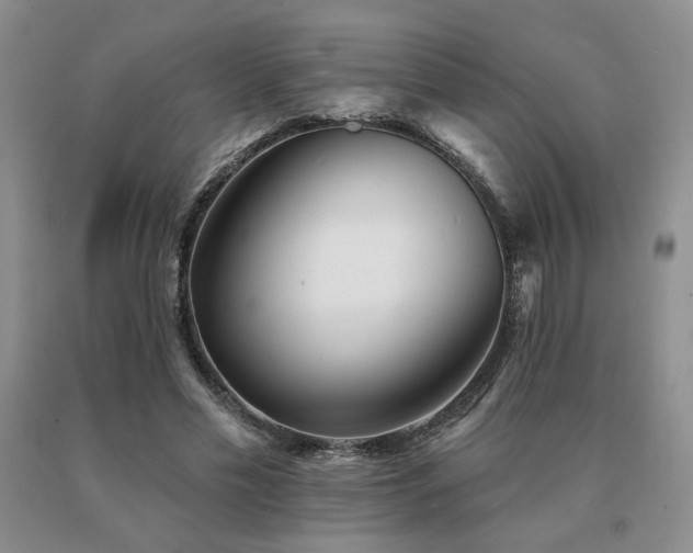 X0000091070589200708061303