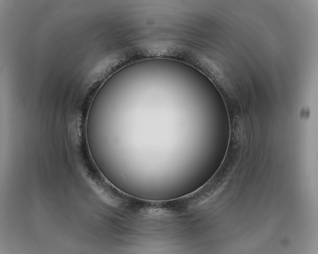 X0000091070590200708061303