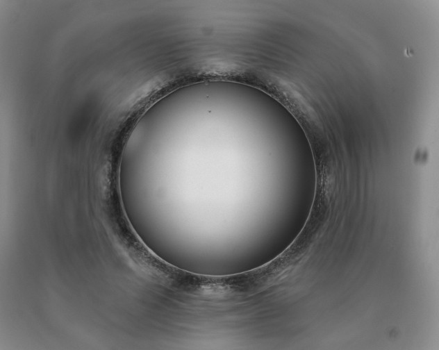 X0000091070591200708061303