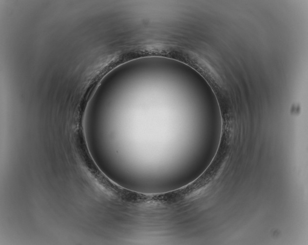 X0000091070593200708061303