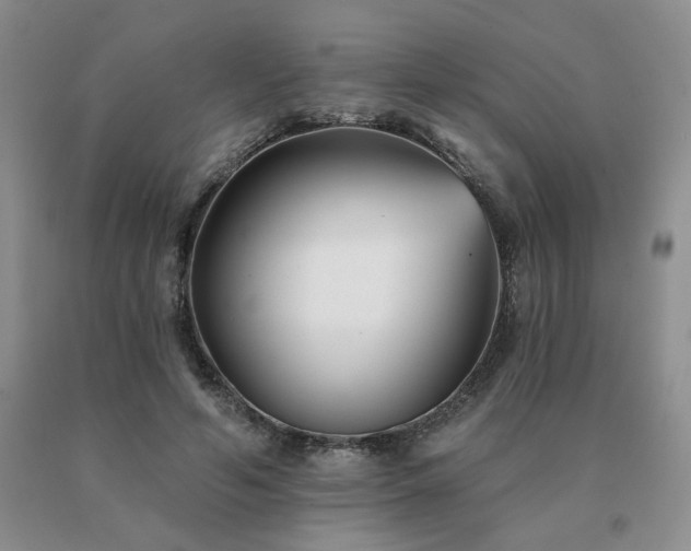 X0000091070594200708061303