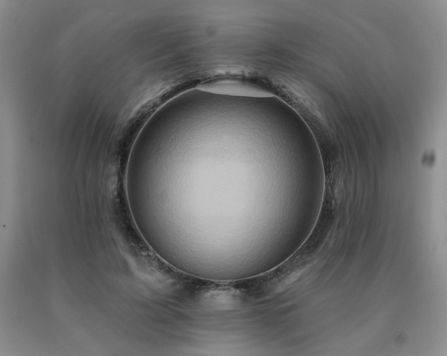 X0000091070595200708061303