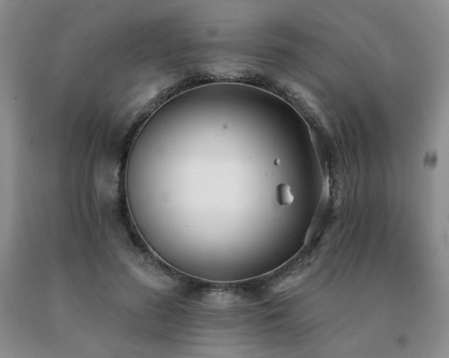 X0000091070596200708061303
