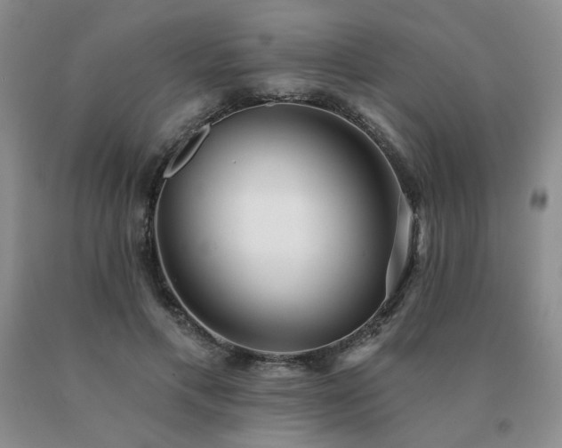 X0000091070597200708061303
