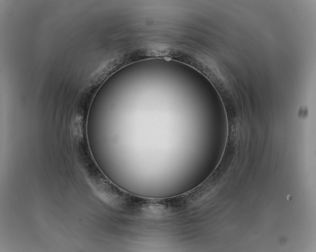 X0000091070598200708061303