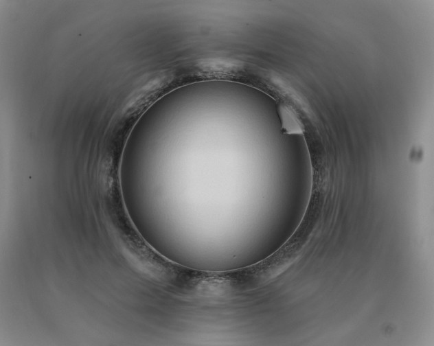 X0000091070599200708061303