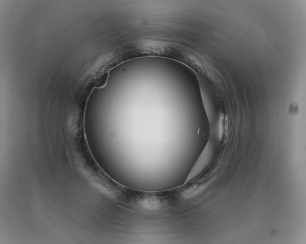 X0000091070600200708061303