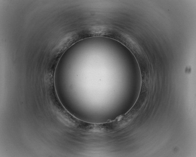 X0000091070601200708061303