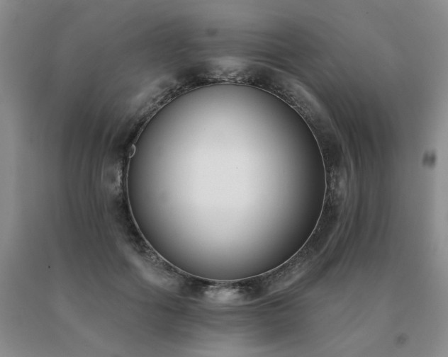 X0000091070602200708061303