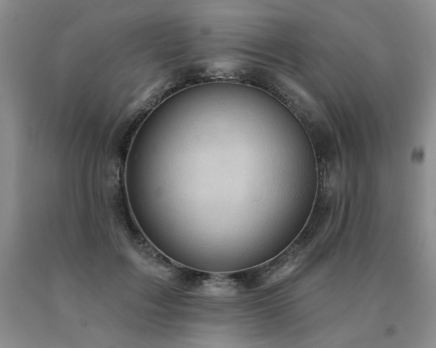X0000091070603200708061303