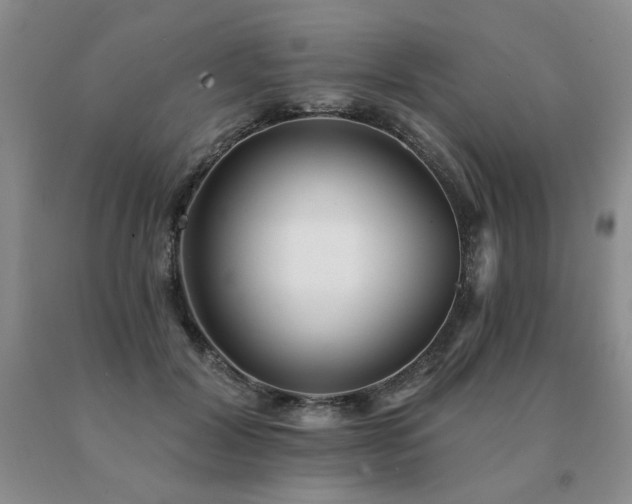 X0000091070604200708061303