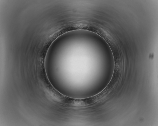X0000091070605200708061303